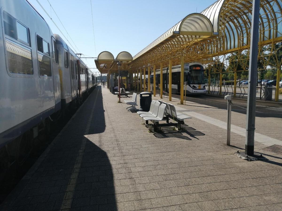 Vakantie Aan Zee De Panne Exterior foto
